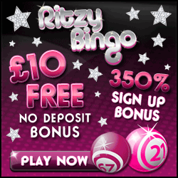 new bingo no deposit