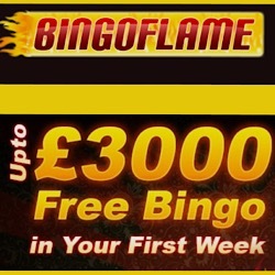 bingo flame