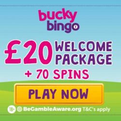 Bucky bingo site