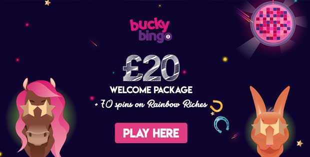 bucky bingo site