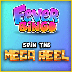 Fever Bingo Big Bonus Bingo
