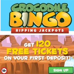 Crocodile bingo site