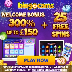 BingoCams Bingo logo
