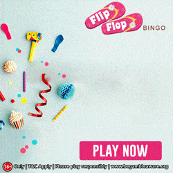 Flip Flop Bingo logo