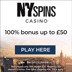 NY Spins Casino logo