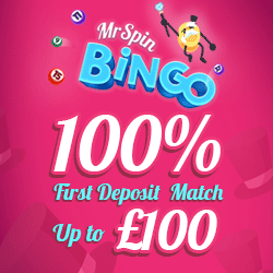 Mr Spin Bingo logo