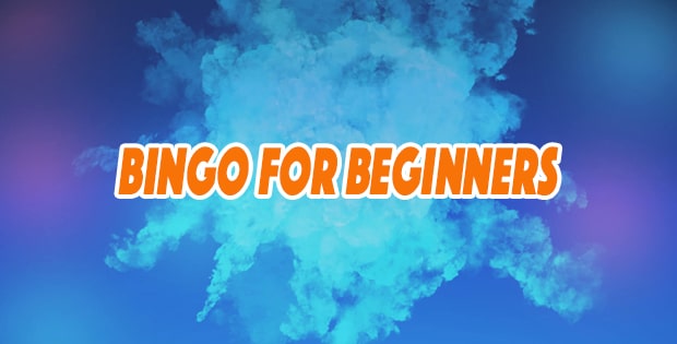 bingo for beginners